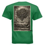 ANTIQUE IRISH GREEN - BACK