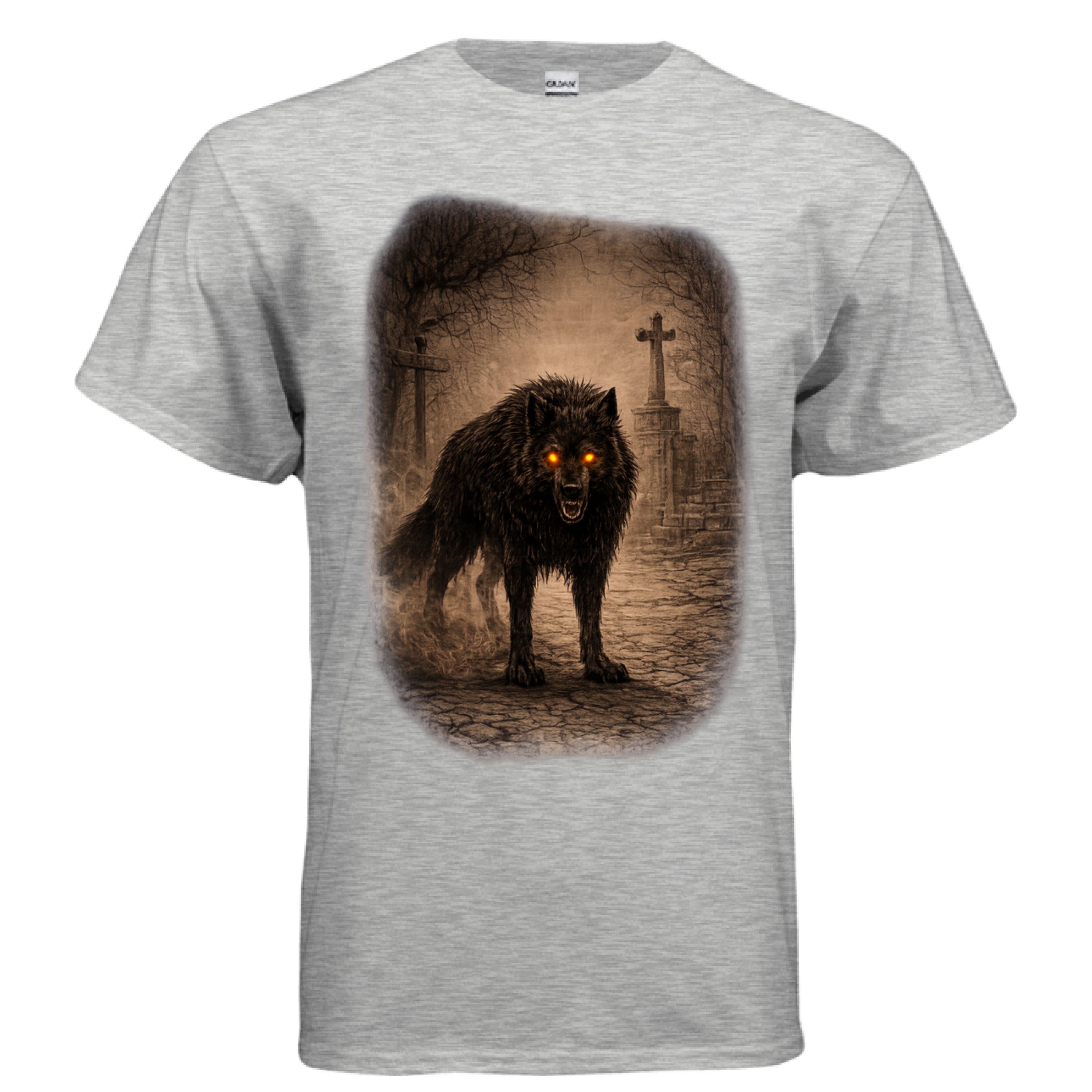 ASH - FRONT