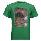 ANTIQUE IRISH GREEN - FRONT