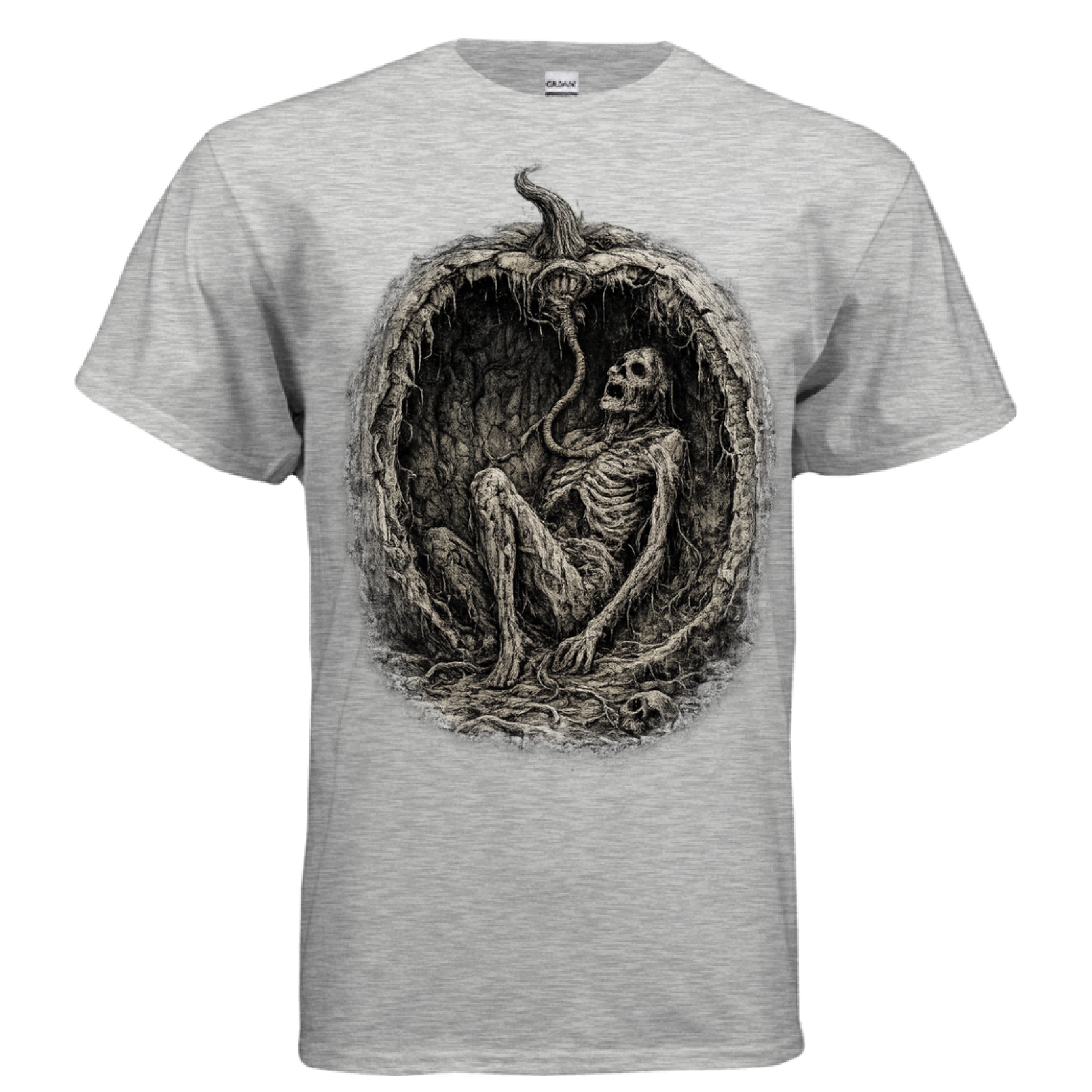 ASH - FRONT